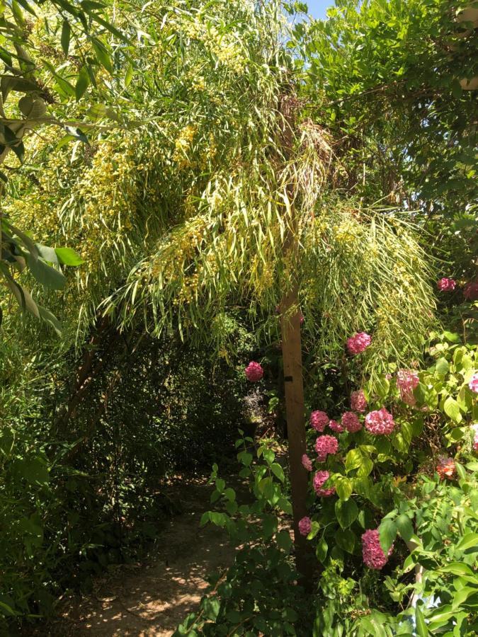 Bed and Breakfast L Atypique L'Ile-d'Olonne Exterior foto